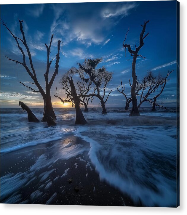 The Forgotten Shore - Acrylic Print