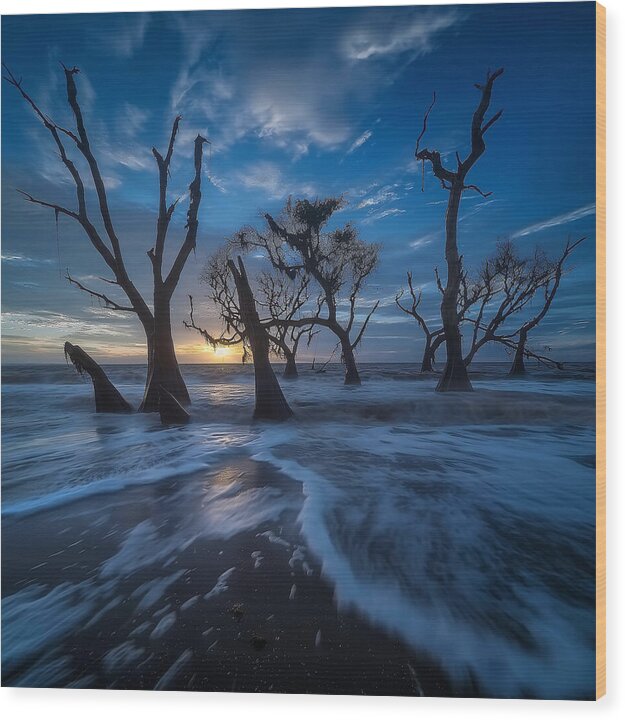 The Forgotten Shore - Wood Print