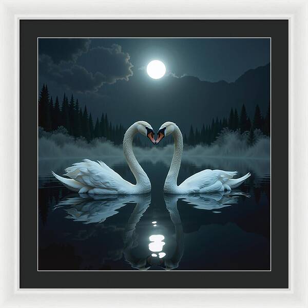 The Swan's Embrace - Framed Print