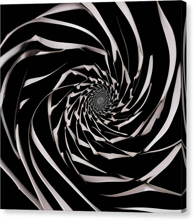The Vortex - Canvas Print