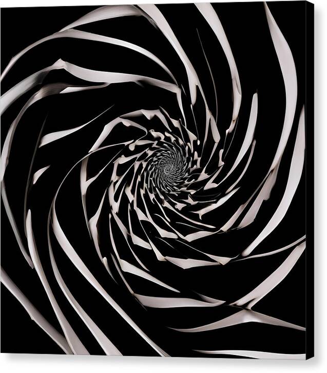 The Vortex - Canvas Print
