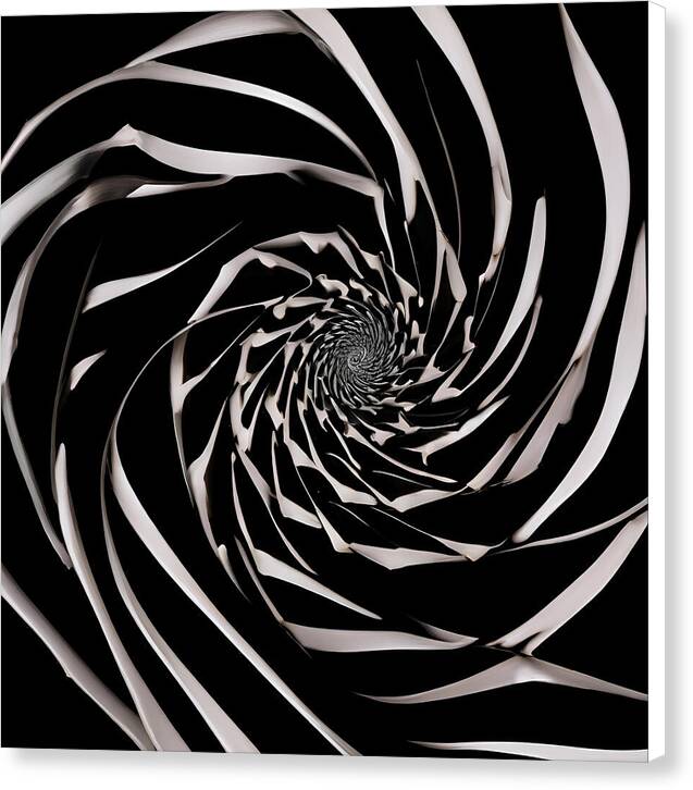 The Vortex - Canvas Print