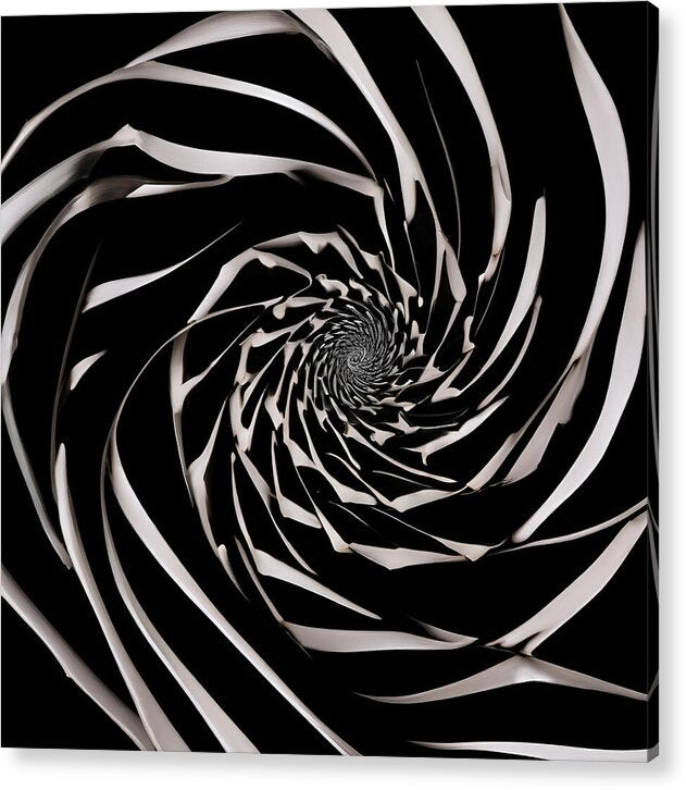 The Vortex - Acrylic Print