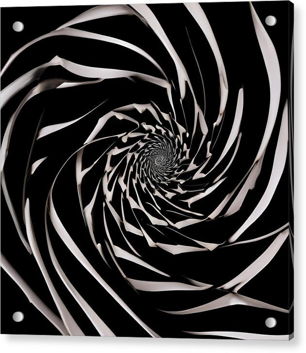 The Vortex - Acrylic Print