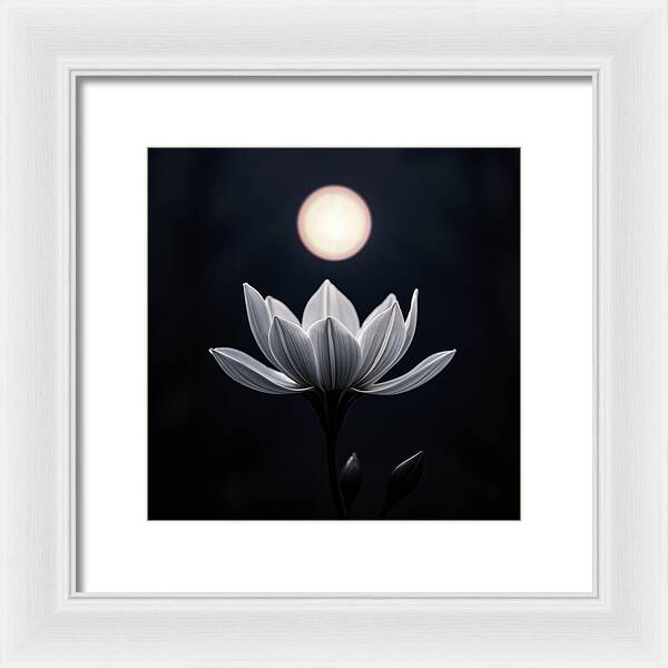 Twilight Blossom - Framed Print