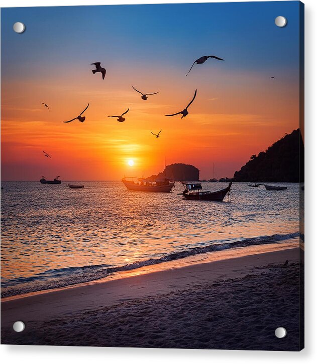 Twilight Soar - Acrylic Print