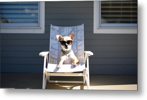 Vacation Vibes - Metal Print