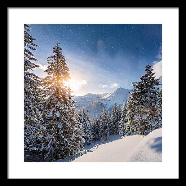 Whispering Pines - Framed Print