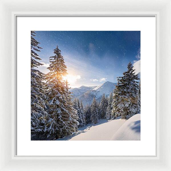 Whispering Pines - Framed Print