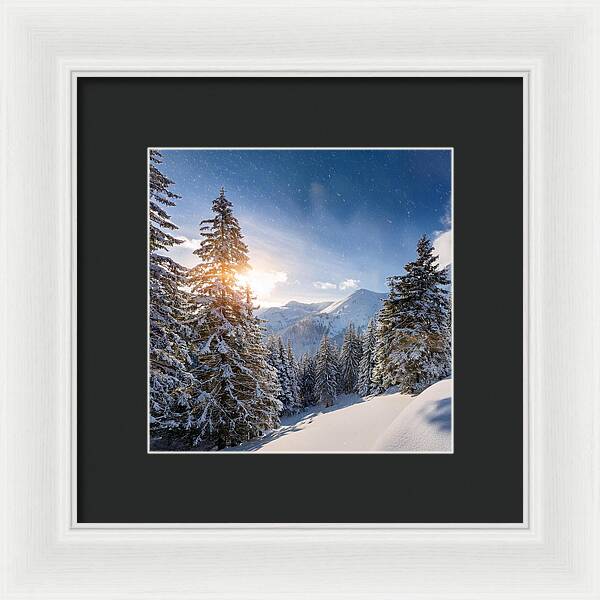 Whispering Pines - Framed Print