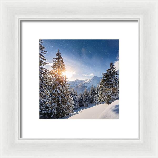 Whispering Pines - Framed Print