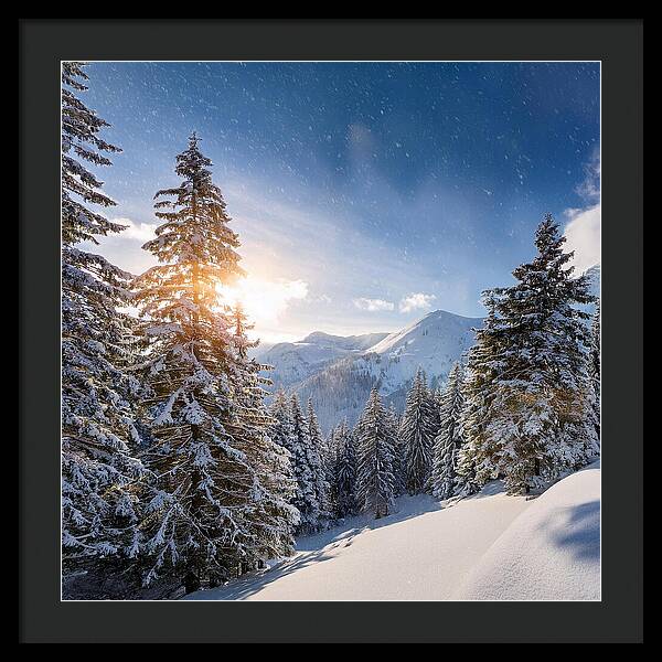 Whispering Pines - Framed Print