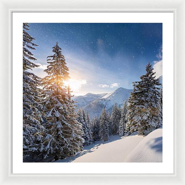 Whispering Pines - Framed Print