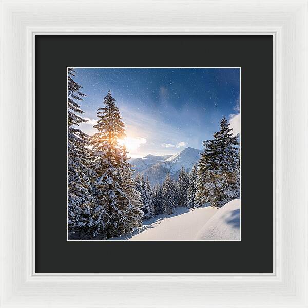 Whispering Pines - Framed Print