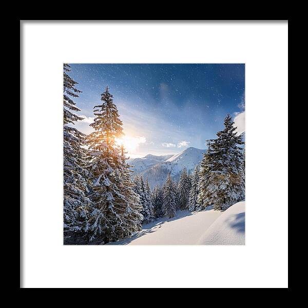 Whispering Pines - Framed Print