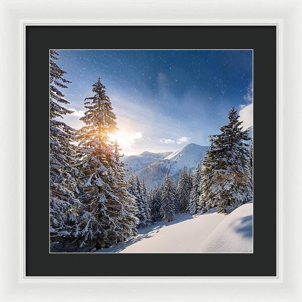 Whispering Pines - Framed Print