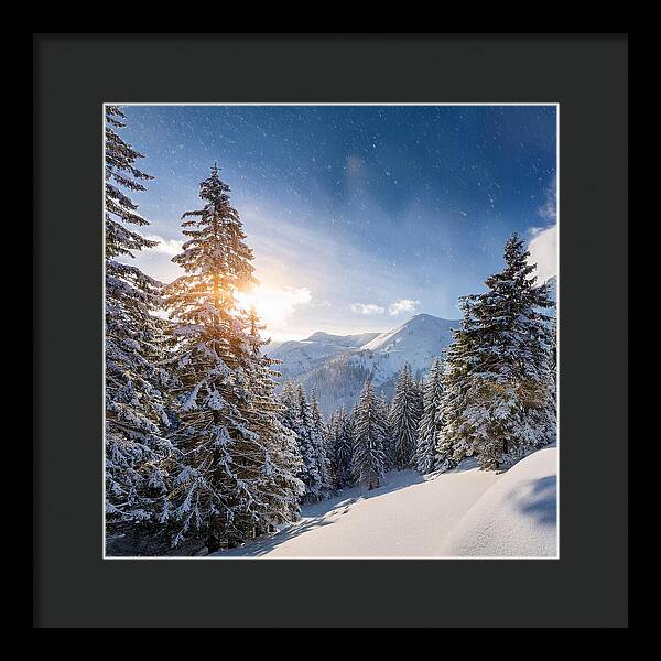Whispering Pines - Framed Print