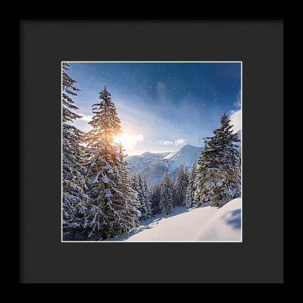 Whispering Pines - Framed Print