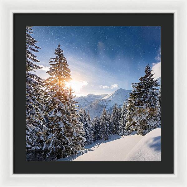 Whispering Pines - Framed Print