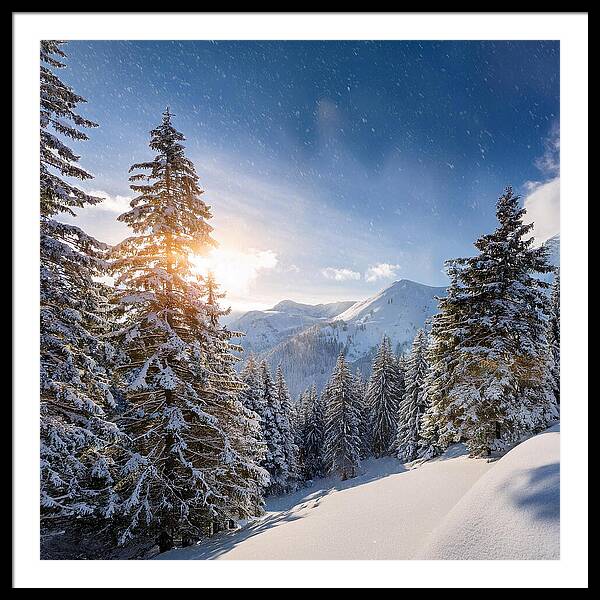 Whispering Pines - Framed Print