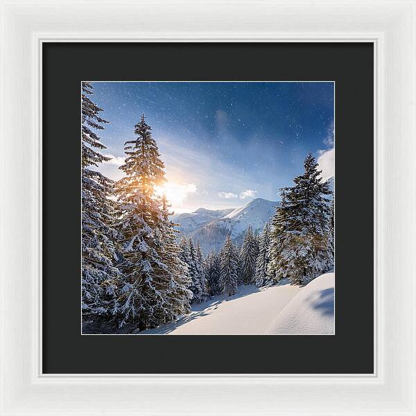 Whispering Pines - Framed Print