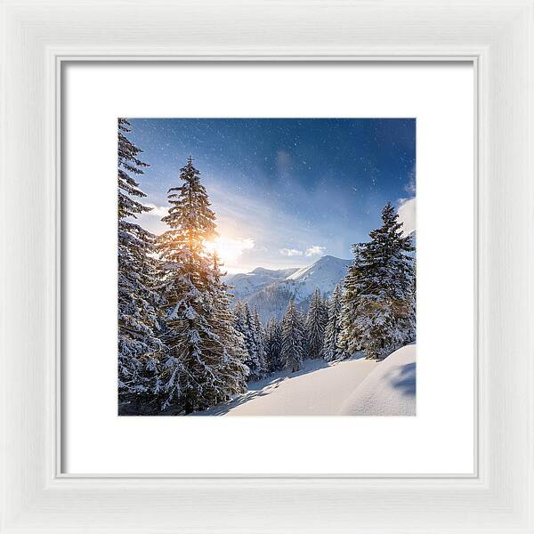 Whispering Pines - Framed Print