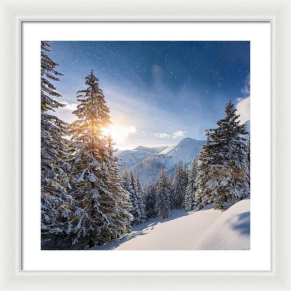 Whispering Pines - Framed Print