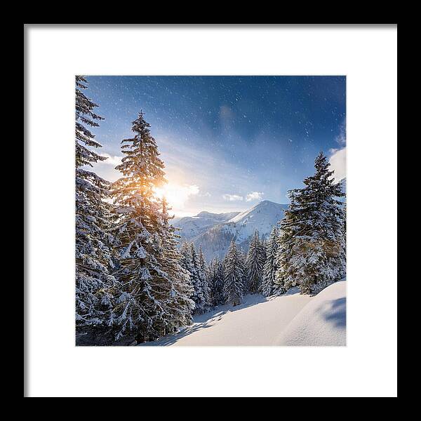 Whispering Pines - Framed Print