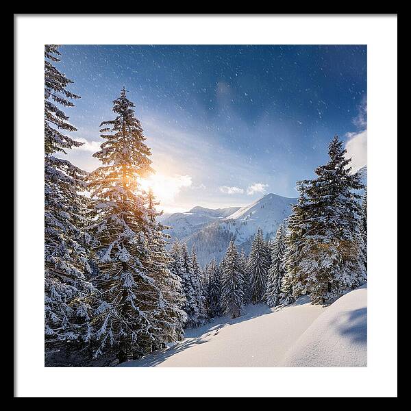 Whispering Pines - Framed Print