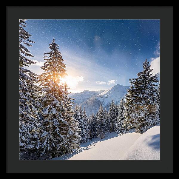 Whispering Pines - Framed Print