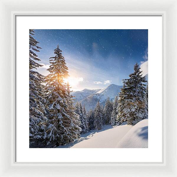 Whispering Pines - Framed Print