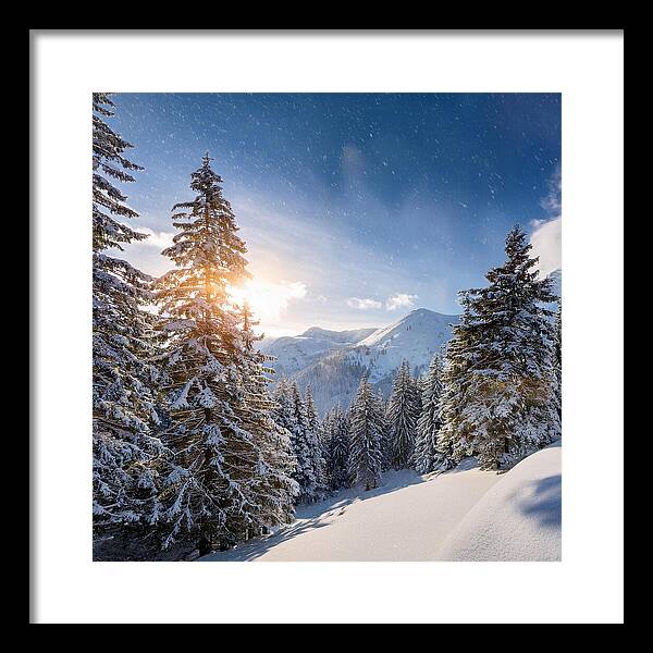 Whispering Pines - Framed Print
