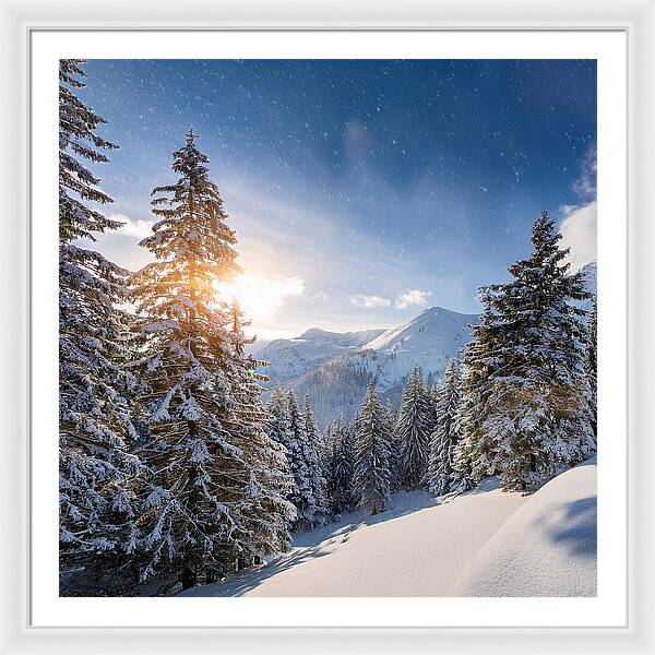 Whispering Pines - Framed Print