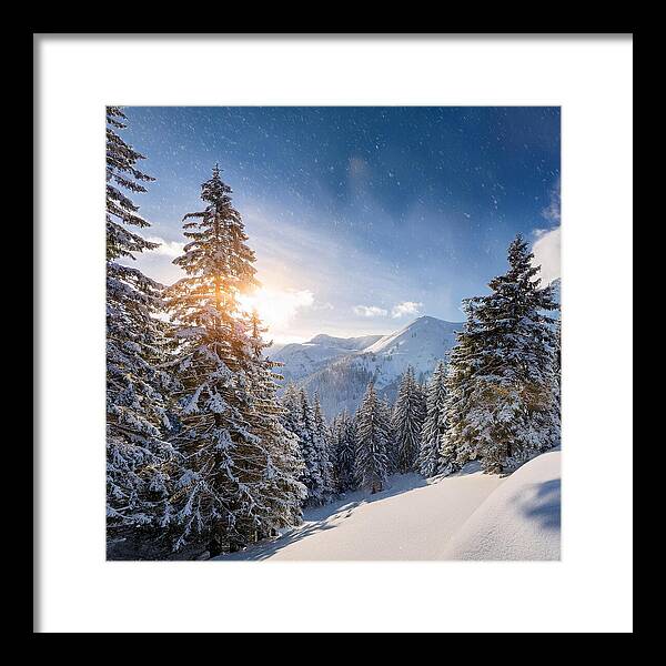Whispering Pines - Framed Print