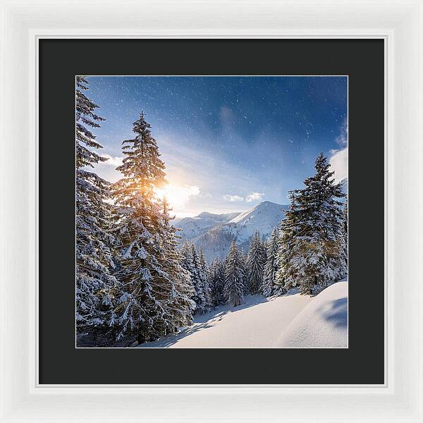 Whispering Pines - Framed Print