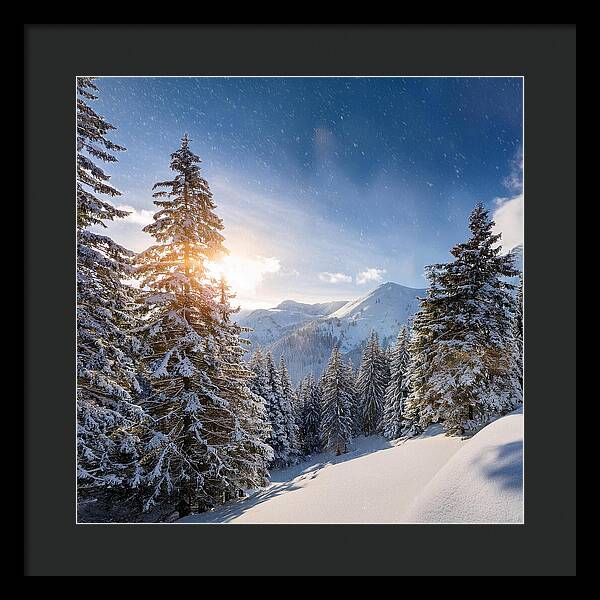 Whispering Pines - Framed Print