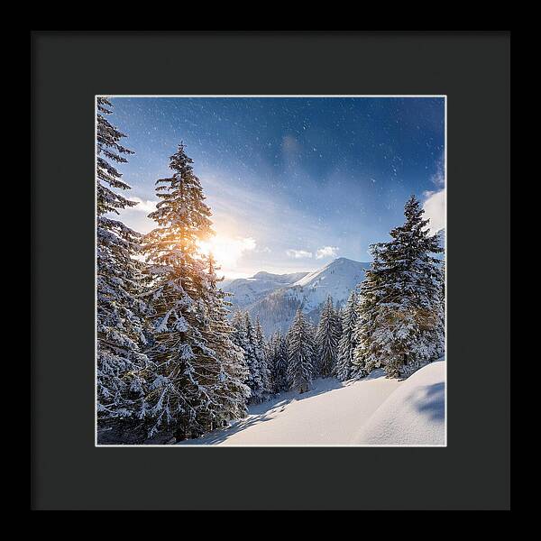 Whispering Pines - Framed Print
