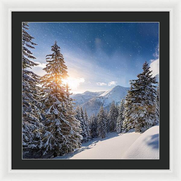 Whispering Pines - Framed Print