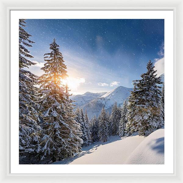 Whispering Pines - Framed Print