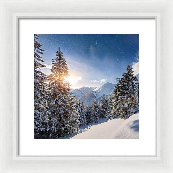 Whispering Pines - Framed Print