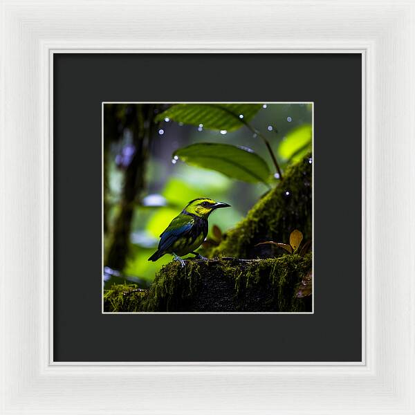 Whispers of Rain - Framed Print