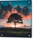 Switch Anchored in the Breeze - Acrylic Print 2 image
