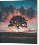 featured