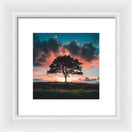 Switch Anchored in the Breeze - Framed Print 3 image