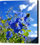 Switch Blue Beauty - Canvas Print 2 image