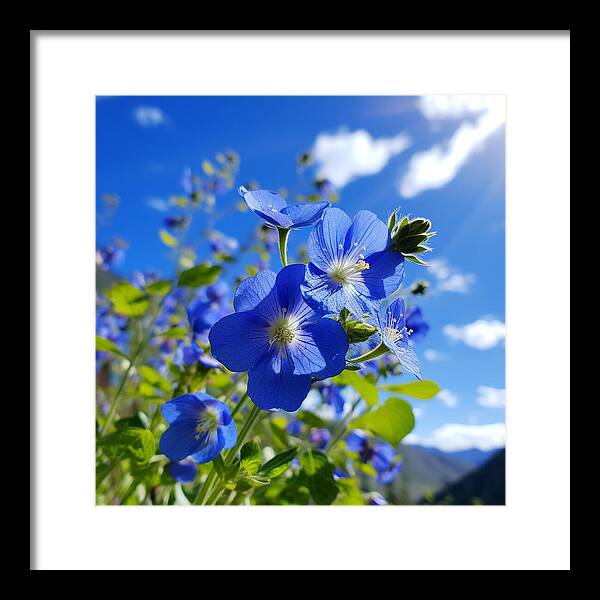 Blue Beauty - Framed Print