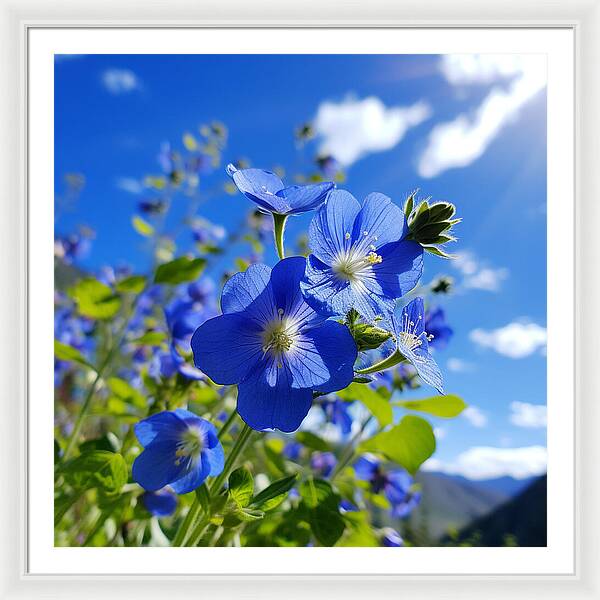Blue Beauty - Framed Print