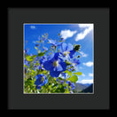 Switch Blue Beauty - Framed Print 2 image
