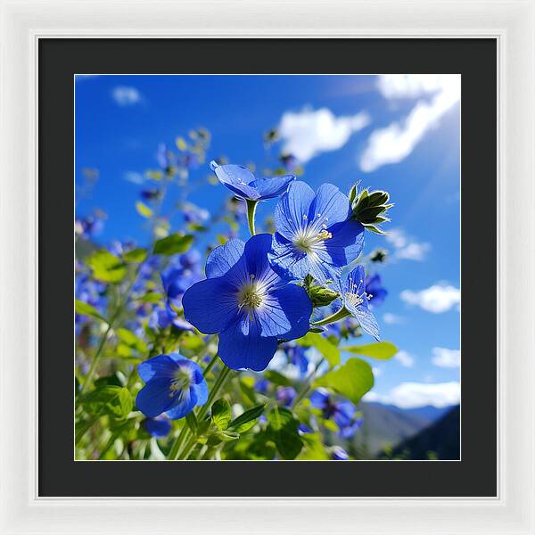 Blue Beauty - Framed Print