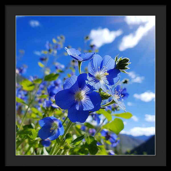 Blue Beauty - Framed Print